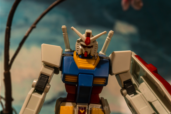 Photography Portfolio Thumbnail